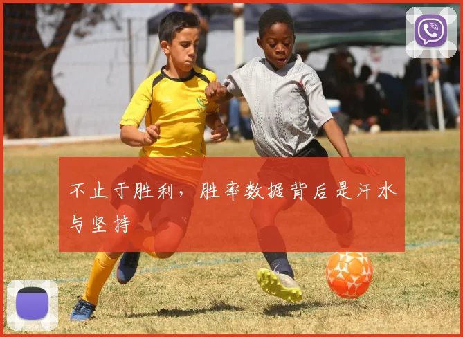 不止于胜利，胜率数据背后是汗水与坚持